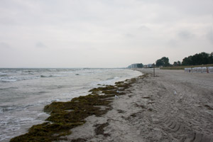 Шарбойц и Балтийское море